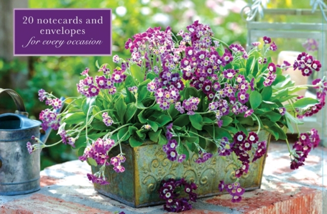 Card Box of 20 Notecards and Envelopes: Primula