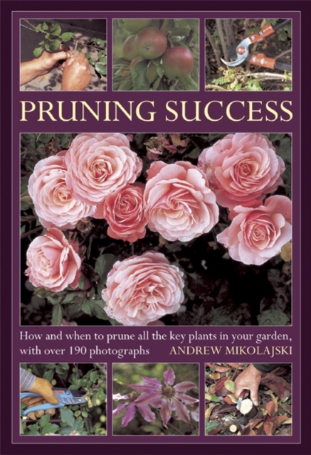 Pruning Success