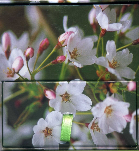 Memo Block Cherry Blossom