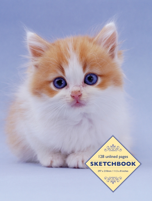 Sketchbook: Kitten