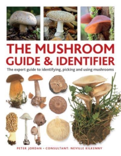 Mushroom Guide & Identifer