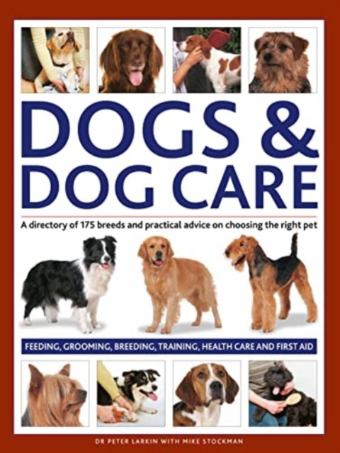 Dogs & Dog Care