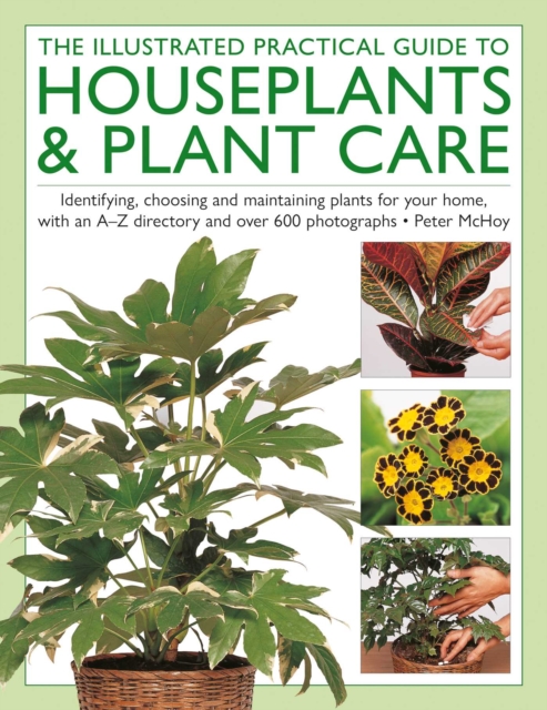 The Illustrated Practical Guide to Houseplants & Plant Care