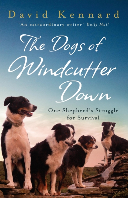 Dogs of Windcutter Down