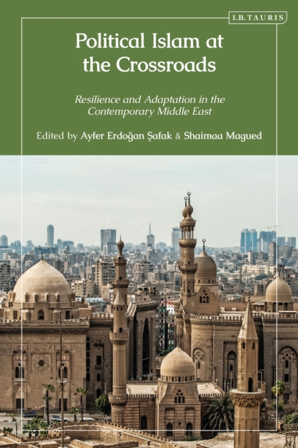 Political Islam at the Crossroads