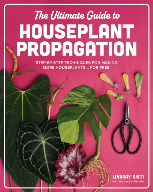 Ultimate Guide to Houseplant Propagation