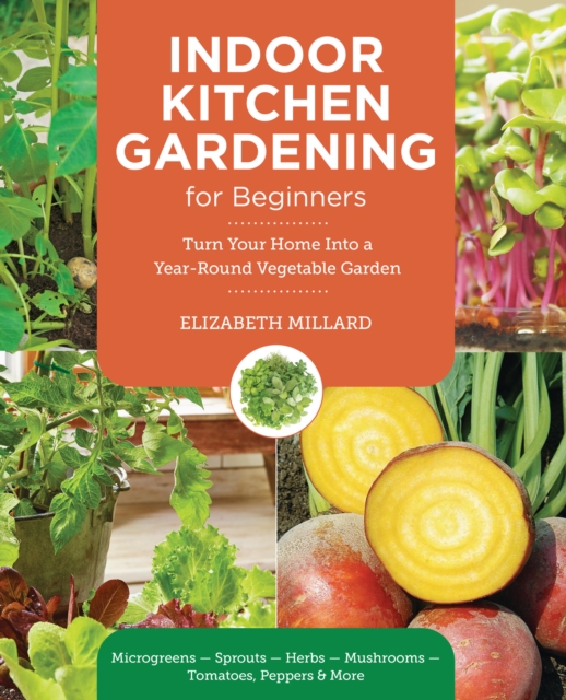 Indoor Kitchen Gardening for Beginners