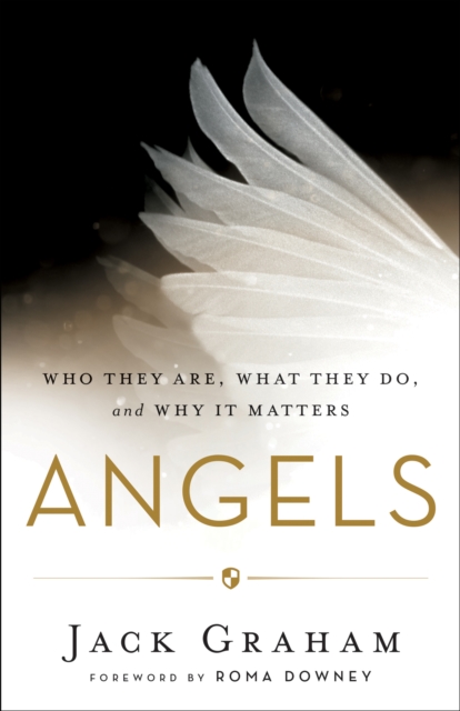 Angels - Who They Are, What They Do, and Why It Matters