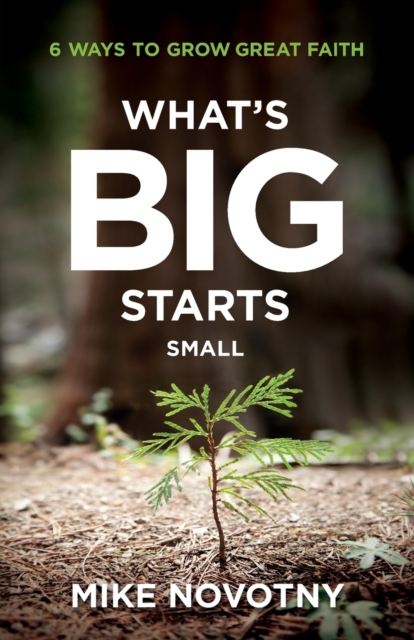 What`s Big Starts Small - 6 Ways to Grow Great Faith