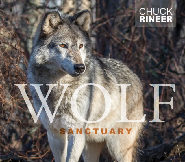 Wolf Sanctuary