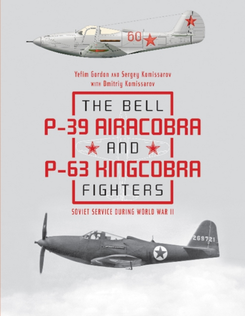 Bell P39 Airacobra and P63 Kingcobra Fighters: Soviet Service during World War II