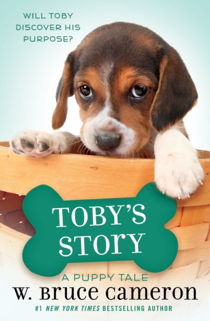 Toby's Story