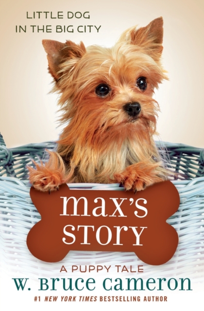 Max's Story