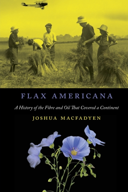 Flax Americana