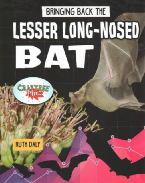 Bringing Back the Lesser Long-Nosed Bat