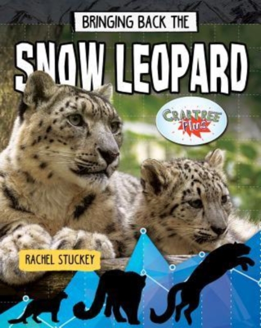 Bringing Back the Snow Leopard