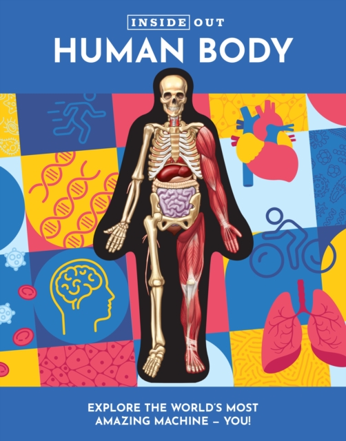 Inside Out Human Body