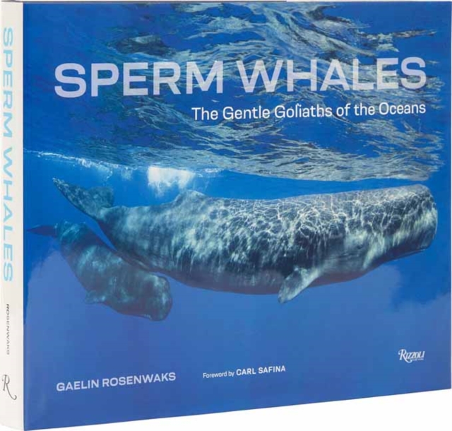 Sperm Whales