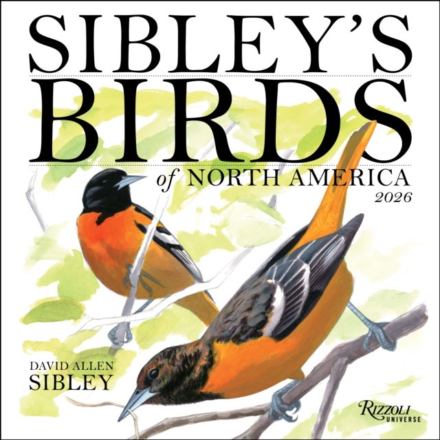 Sibley's Birds of North America 2026 Wall Calendar