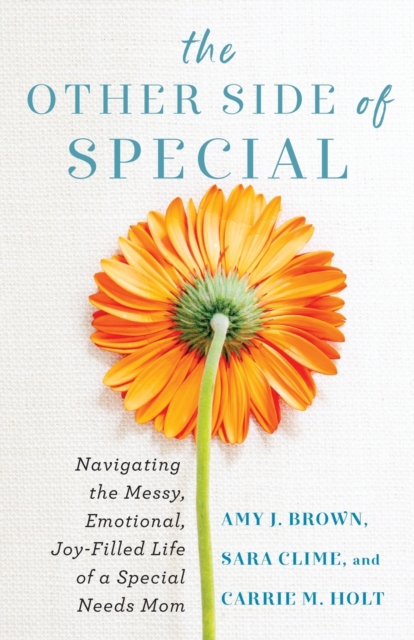 Other Side of Special - Navigating the Messy, Emotional, Joy-Filled Life of a Special Needs Mom