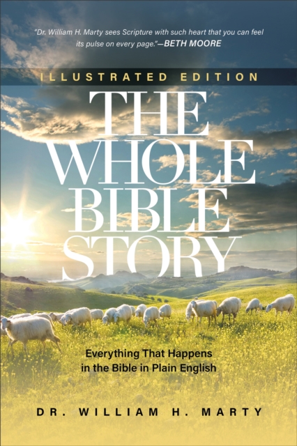 Whole Bible Story - Everything That Happens in the Bible in Plain English