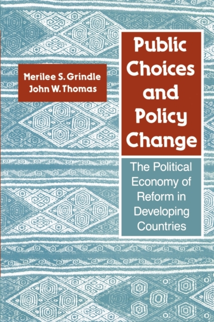 Public Choices and Policy Change