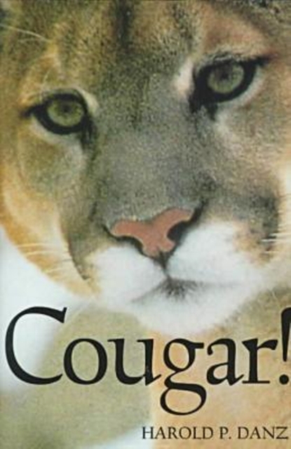 Cougar