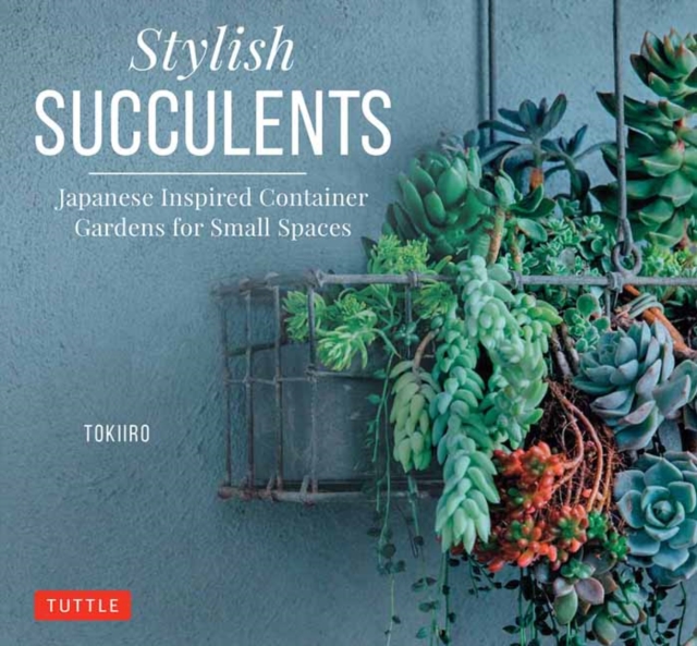 Stylish Succulents