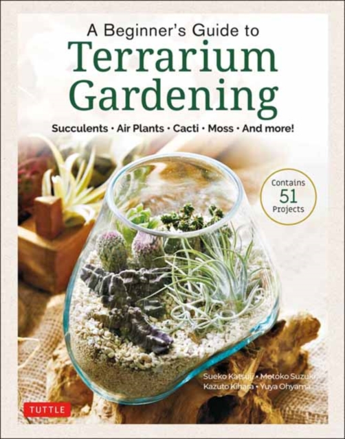Beginner's Guide to Terrarium Gardening