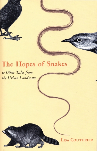 Hopes of Snakes