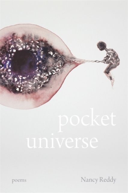 Pocket Universe