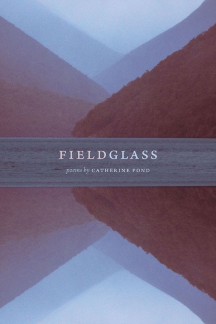 fieldglass