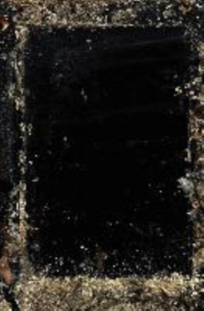 Baron Wenckheim`s Homecoming