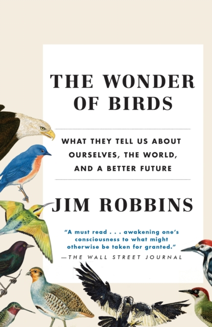 Wonder of Birds