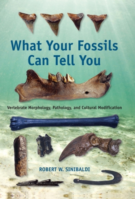 What Your Fossils Can Tell You