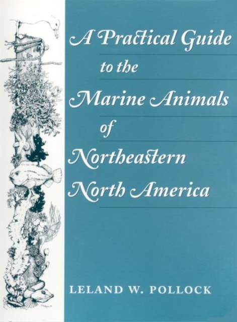 Practical Guide to the Marine Animals of Northeastern North America