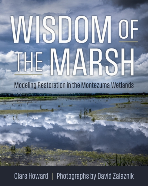 Wisdom of the Marsh