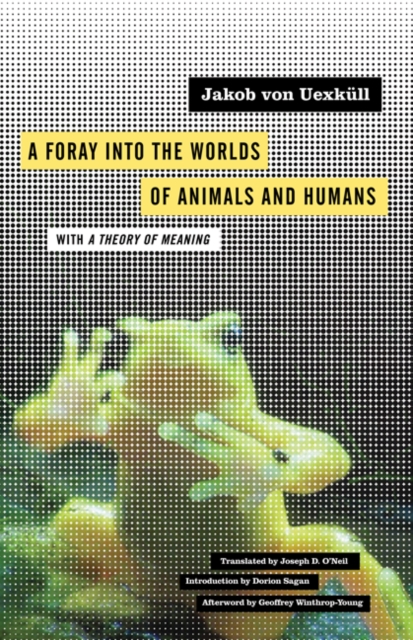 Foray into the Worlds of Animals and Humans