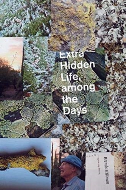 Extra Hidden Life, among the Days