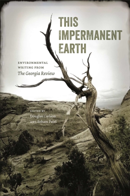 This Impermanent Earth