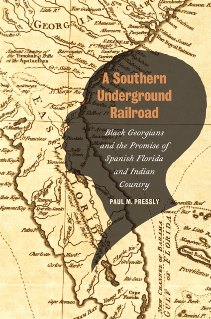 Southern Underground Railroad