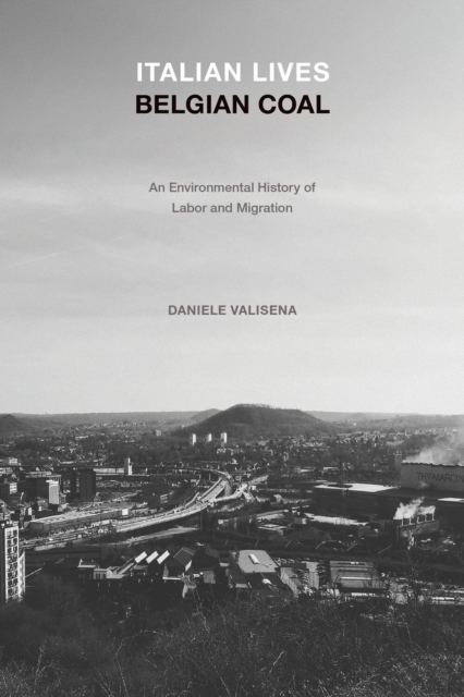 Italian Lives, Belgian Coal