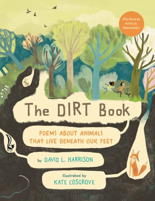 Dirt Book