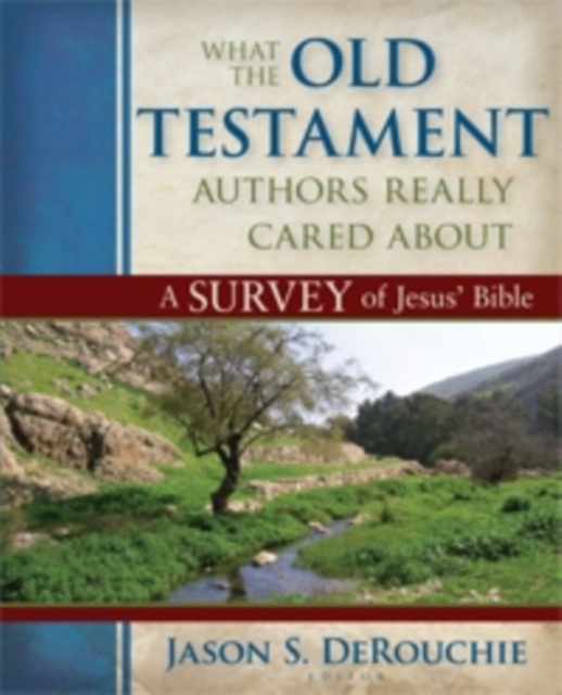 What the Old Testament Authors Really Cared Abou – A Survey of Jesus` Bible