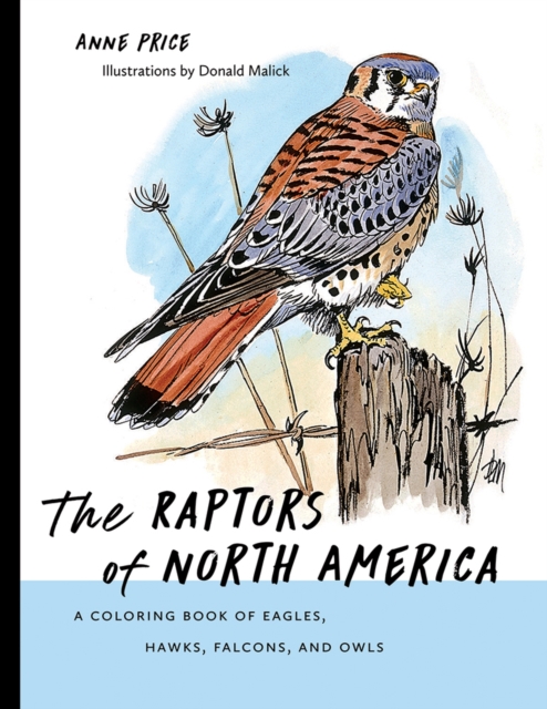 Raptors of North America