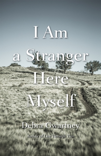 I Am a Stranger Here Myself