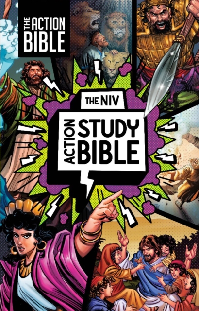 NIV Action Study Bible, Hardcover, Full Color