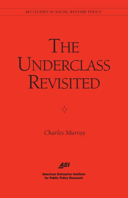 Underclass Revisited