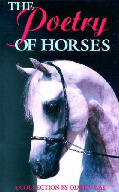 Poetry of Horses