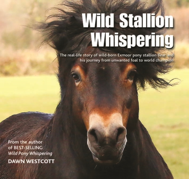 Wild Stallion Whispering